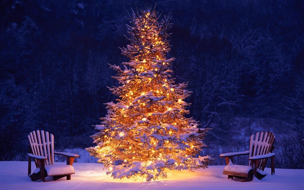 Mortal Absoluut enkel mooie-brandende-kerstboom-buiten-in-de-sneeuw-hd-kerst-wallpaper - Stopel  Bouwprojecten
